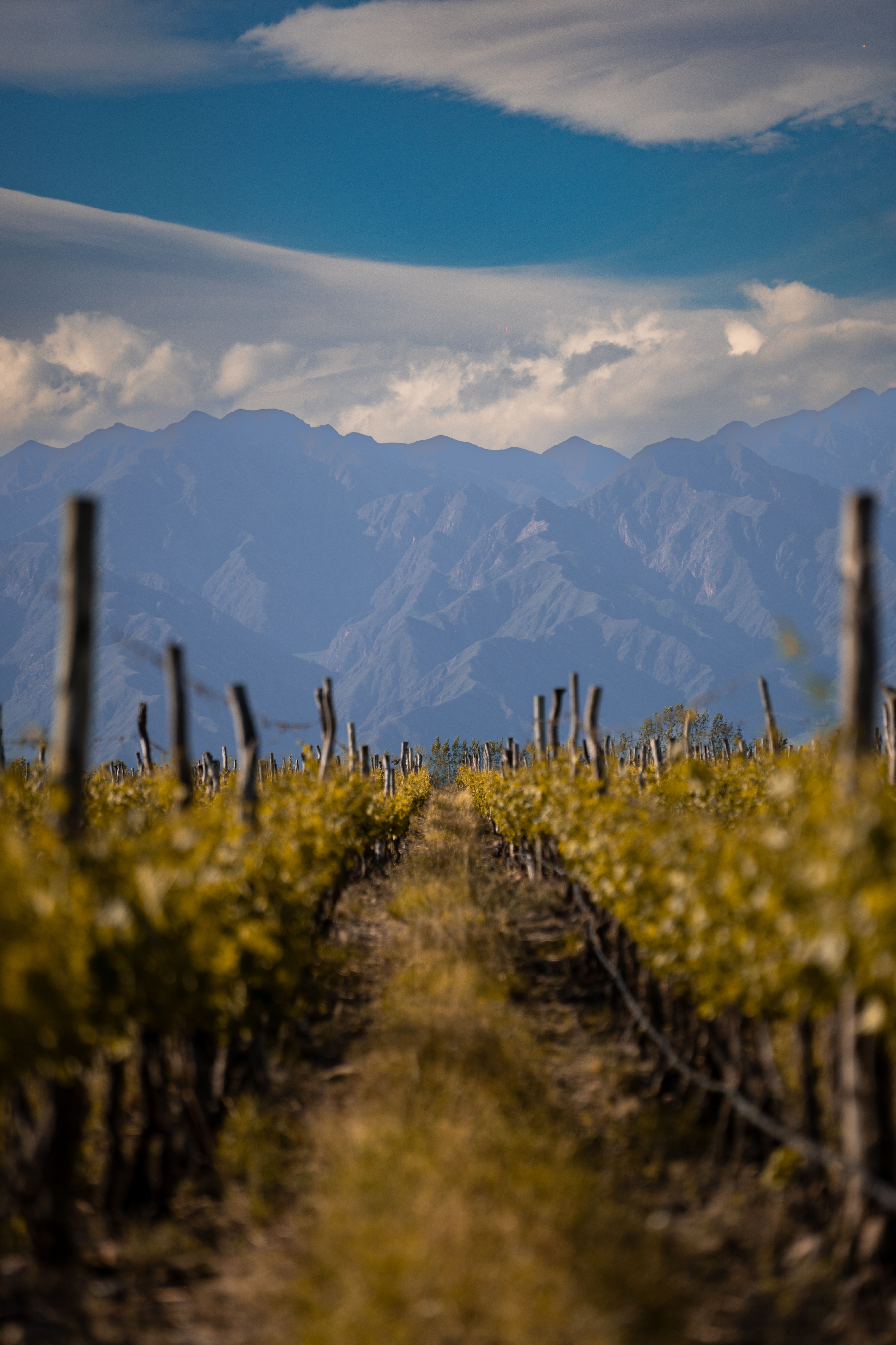 Wine tour