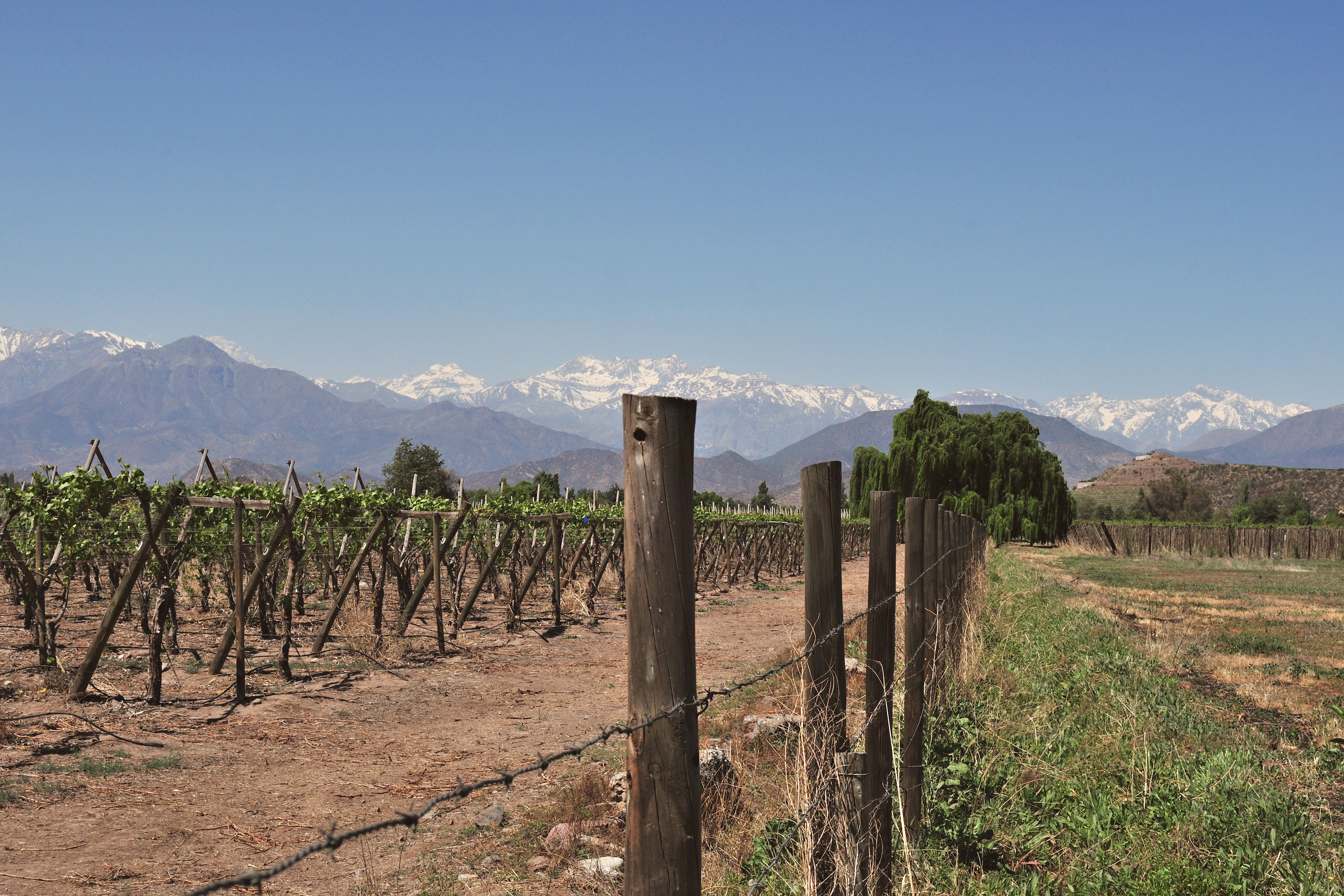 Wine tour, Cassablanca Valley